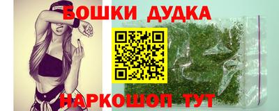 крисы Лесосибирск